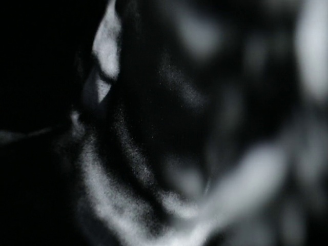 Video Reference: Water, Eyelash, Flash photography, Grey, Tints and shades, Snout, Rim, Darkness, Whiskers, Monochrome photography
