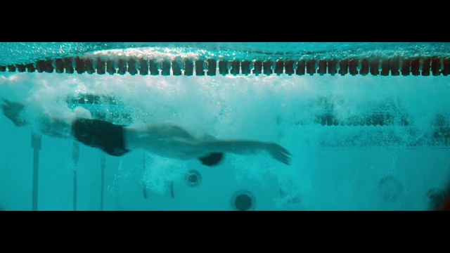 Video Reference: Water, Liquid, Azure, Fluid, Swimming pool, Organism, Underwater, Aqua, Rectangle, Marine biology