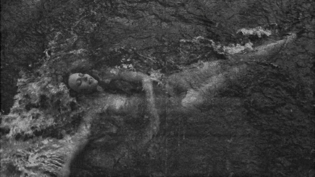 Video Reference: Organism, Bedrock, Grey, Style, Wood, Black-and-white, Plant, Grass, Landscape, Geological phenomenon