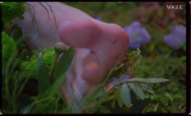 Video Reference: Hand, Plant, People in nature, Natural landscape, Terrestrial plant, Grass, Fawn, Groundcover, Thumb, Wood