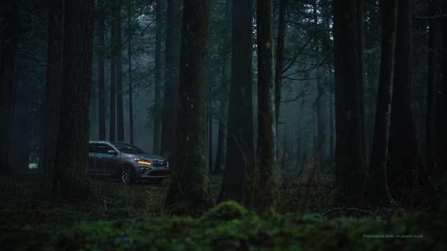 Video Reference: Plant, Wheel, Automotive lighting, Car, Tire, Tree, Vehicle, Natural landscape, Wood, Terrestrial plant