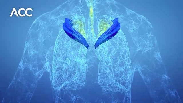 Video Reference: World, Blue, Azure, Organism, Gesture, Aqua, Plant, Mythical creature, Wing, Electric blue