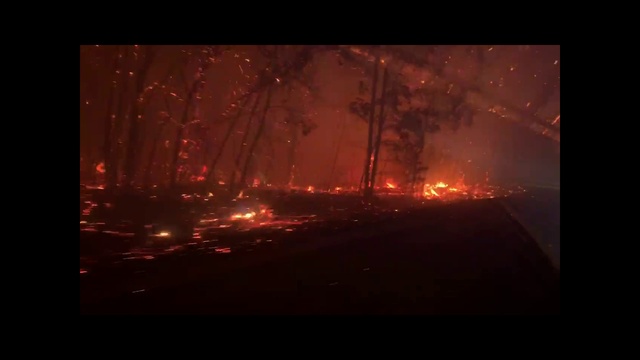 Video Reference: Atmosphere, Automotive lighting, Amber, Mode of transport, Atmospheric phenomenon, Heat, Pollution, Natural landscape, Tree, Hazard