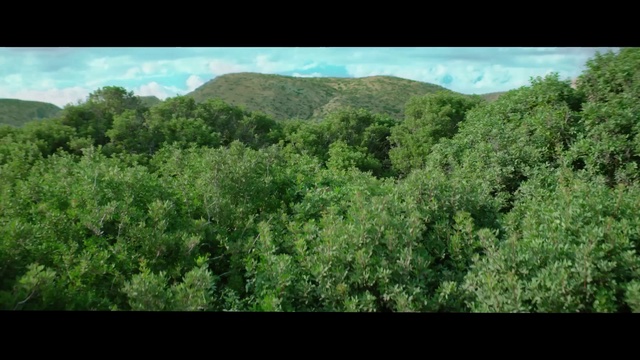 Video Reference: Sky, Cloud, Green, Plant, Mountain, Highland, Natural landscape, Terrestrial plant, Tree, Mountainous landforms