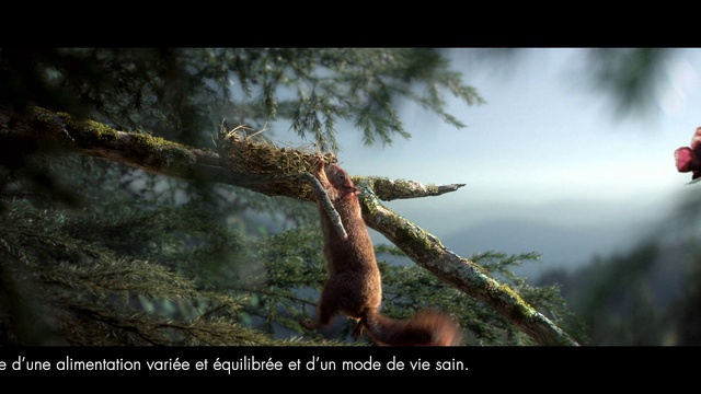 Video Reference: Plant, Wood, Terrestrial plant, Natural landscape, Sky, Trunk, Tree, Cloud, Twig, Tints and shades