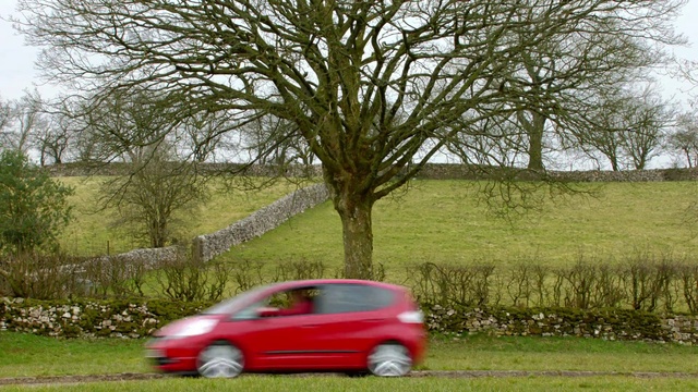 Video Reference: Car, Plant, Wheel, Vehicle, Tire, Tree, Motor vehicle, Window, Sky, Alloy wheel