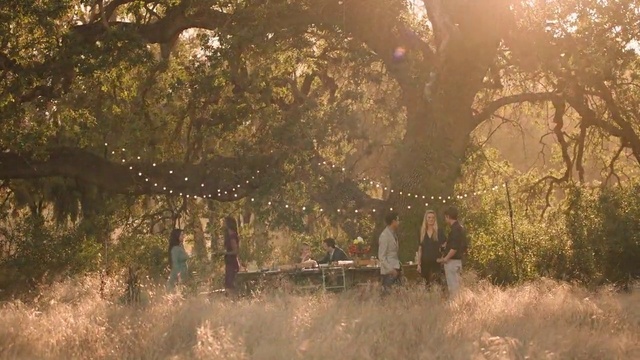 Video Reference: Plant, People in nature, Tree, Branch, Natural landscape, Wood, Sunlight, Grass, Atmospheric phenomenon, Twig