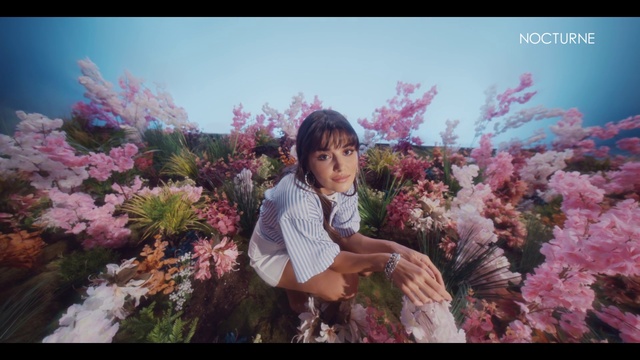 Video Reference: Flower, Plant, Sky, Photograph, People in nature, Petal, Pink, Tree, Happy, Natural landscape