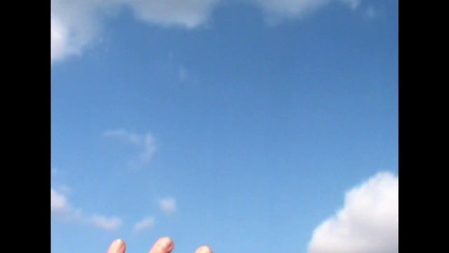 Video Reference: Cloud, Sky, Atmosphere, Daytime, Azure, Gesture, Cumulus, Tree, Horizon, Electric blue