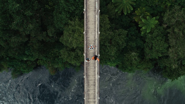 Video Reference: Slope, Plant, Tree, Terrestrial plant, Grass, Grass family, Landscape, Road, Forest, Urban design