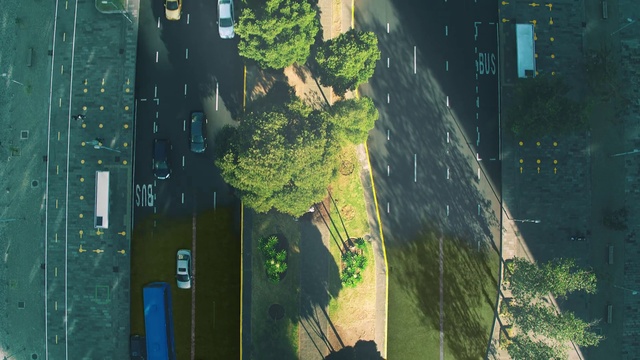 Video Reference: Water resources, Atmosphere, Plant, World, Ecoregion, Water, Nature, Leaf, Natural environment, Azure