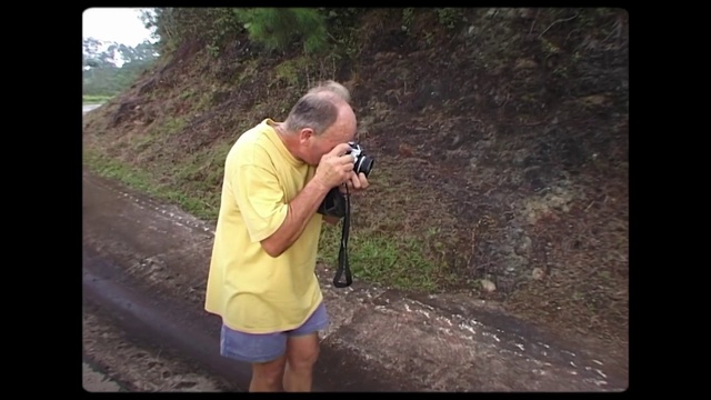 Video Reference: Plant, Photographer, People in nature, Flash photography, Cameras & optics, Camera lens, Tree, Reflex camera, Travel, Grass