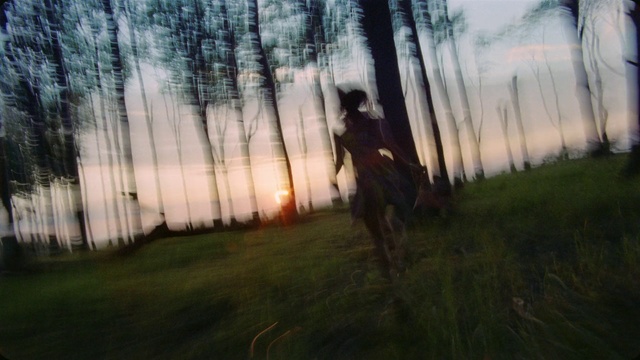 Video Reference: Cloud, Plant, Sky, People in nature, Natural landscape, Flash photography, Wood, Sunrise, Tree, Grass