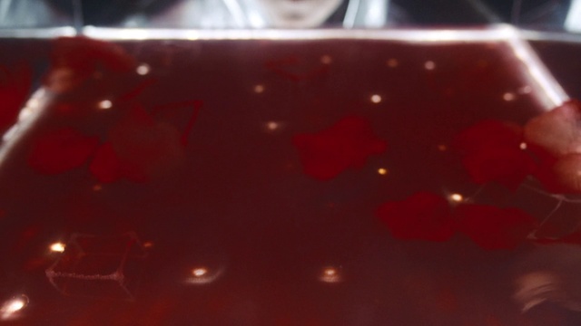 Video Reference: Automotive lighting, Amber, Ingredient, Cuisine, Rectangle, Dish, Liquid, Tints and shades, Magenta, Event