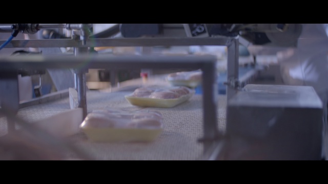 Video Reference: Food, Gas, Recipe, Automotive exterior, Cooking, Cuisine, Glass, Dish, Darkness, Metal