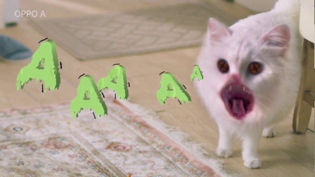 Video Reference: Cat, Felidae, Carnivore, Small to medium-sized cats, Whiskers, Creative arts, Fang, Snout, Surprised, Fur