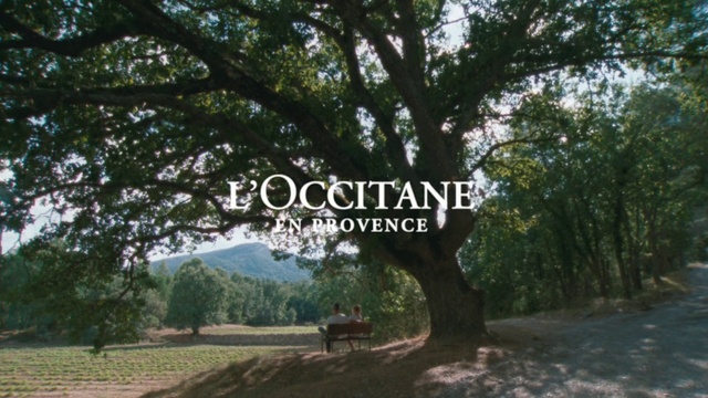 Video Reference: Plant, Plant community, Tree, Leaf, Natural environment, Natural landscape, Land lot, Vegetation, Sunlight, Wood