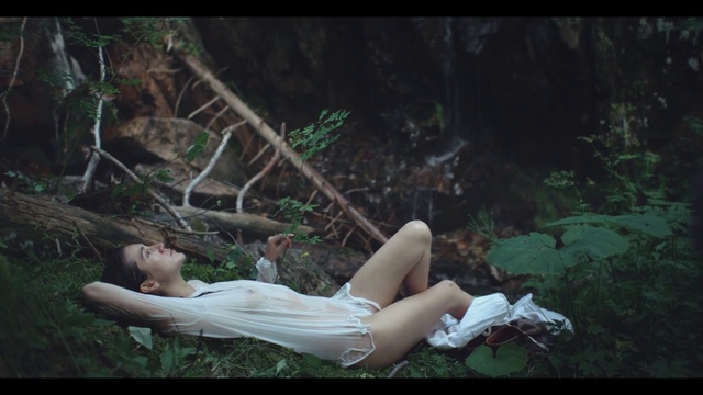 Video Reference: Plant, Flash photography, People in nature, Wood, Thigh, Grass, Fawn, Black hair, Trunk, Forest