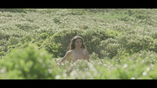 Video Reference: Plant, Plant community, Ecoregion, People in nature, Flash photography, Happy, Sunlight, Natural landscape, Fawn, Grass
