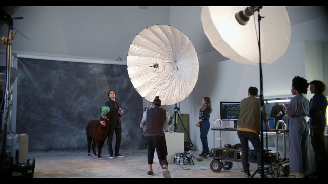 Video Reference: Photograph, Art, Sculpture, Tire, Wheel, Working animal, Snapshot, Event, Leisure, Suit