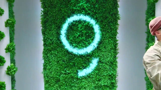 Video Reference: Green, Plant, People in nature, Textile, Organism, Terrestrial plant, Natural landscape, Grass, Vegetation, Font