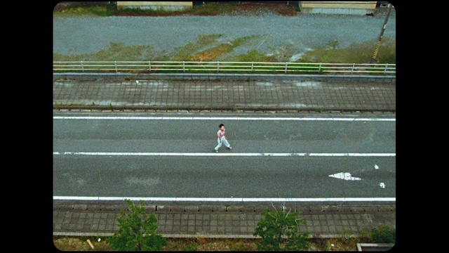 Video Reference: Plant, Rectangle, Mesh, Window, Grass, Gadget, Tints and shades, Display device, Slope, Net