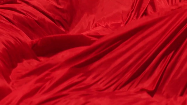 Video Reference: Petal, Magenta, Tints and shades, Electric blue, Peach, Pattern, Carmine, Annual plant, Flowering plant, Event