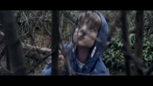 Video Reference: Plant, Tree, Flash photography, Terrestrial plant, Wood, Helmet, Forest, Darkness, Movie, Electric blue