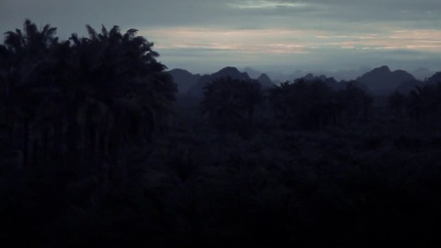 Video Reference: landscape, sunset, dusk, palm trees, silhouette, tropical, forest, hills, mountains, cloudy sky, nature, scenic, outdoors, evening, horizon