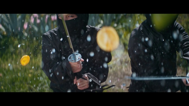 Video Reference: Plant, Automotive lighting, Flash photography, Organism, Gesture, Glass, Auto part, Automotive window part, Helmet, Personal protective equipment