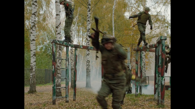 Video Reference: Plant, People in nature, Wood, Tree, Twig, Trunk, Military camouflage, Grass, Recreation, Forest