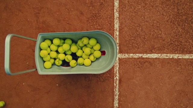 Video Reference: Plant, Food, Wood, Table, Grass, Fruit, Tints and shades, Petal, Vegetable, Natural foods