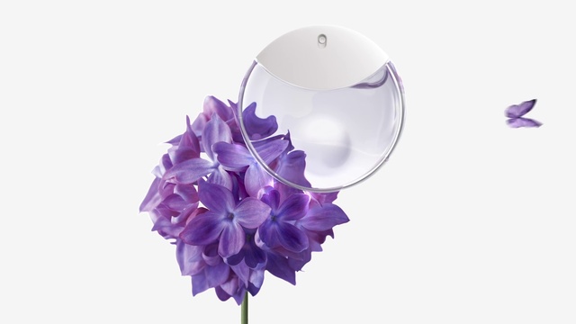 Video Reference: Flower, Plant, Purple, Petal, Violet, Dishware, Flowering plant, Cut flowers, Electric blue, Magenta