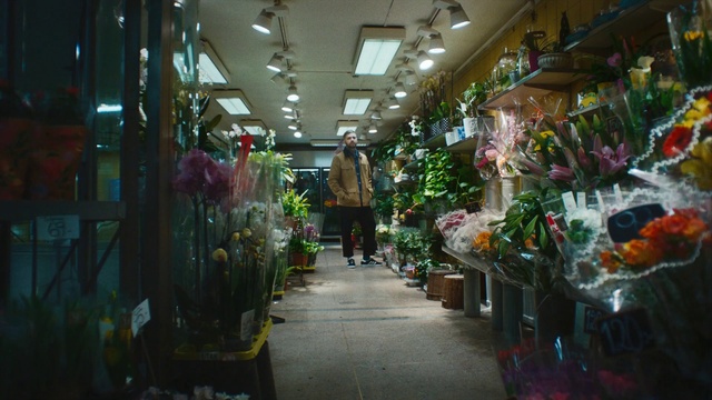 Video Reference: Plant, Selling, Retail, Flowerpot, Shopping, Market, City, Metropolitan area, Trade, Natural foods