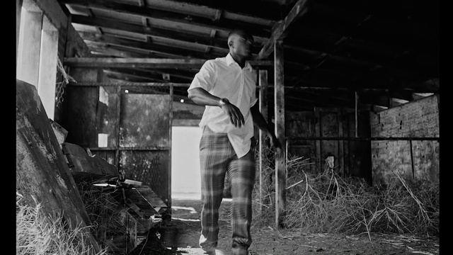 Video Reference: Plant, Flash photography, Shorts, Wood, Black-and-white, Style, Monochrome, Monochrome photography, Grass, Landscape