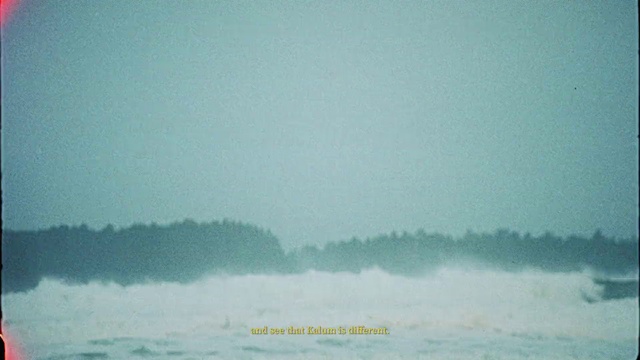 Video Reference: Water, Sky, Cloud, Atmosphere, Plant, Liquid, Fog, Tree, Natural landscape, Horizon