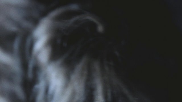 Video Reference: blurry, abstract, close-up, indistinct, dark, motion blur, out of focus, low light
