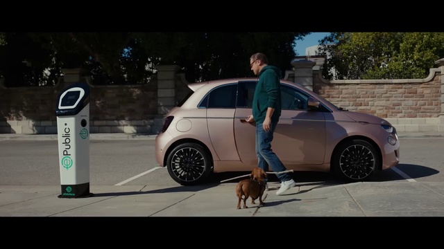 Video Reference: Car, Wheel, Tire, Land vehicle, Dog, Vehicle, Automotive tire, Automotive lighting, Automotive design, Dress