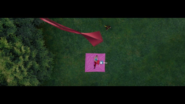 Video Reference: Plant, Textile, Rectangle, Tree, Font, Grass, Magenta, Slope, Lawn, Pattern