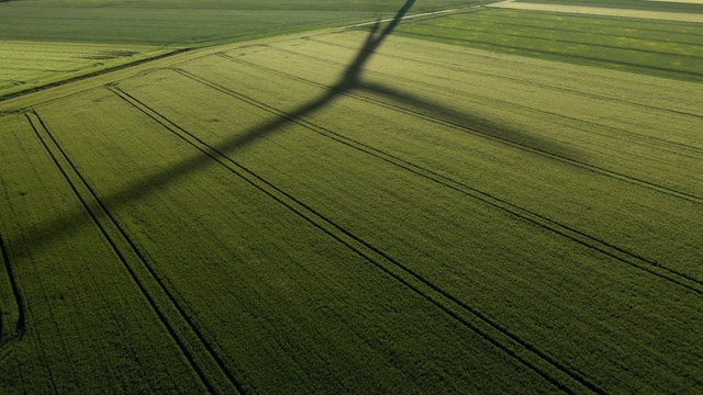 Video Reference: Ecoregion, Plant, Natural landscape, Wood, Agriculture, Grass, Plain, Rectangle, Tree, Grassland