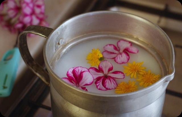 Video Reference: Flower, Dishware, Plant, Petal, Cup, Serveware, Tableware, Cuisine, Pink, Porcelain
