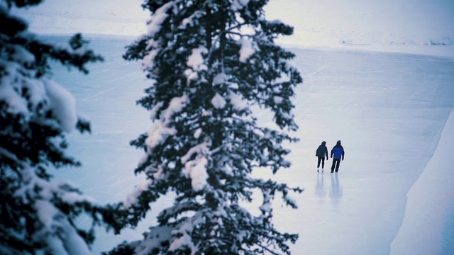 Video Reference: Branch, Slope, Snow, People in nature, Freezing, Evergreen, Terrain, Ice cap, Glacial landform, Tree