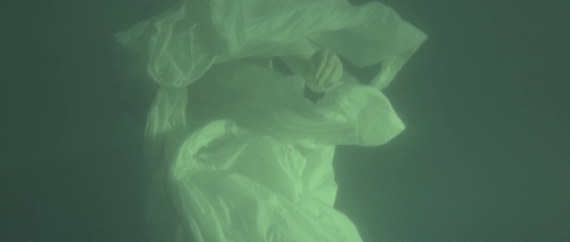 Video Reference: Human body, Jaw, Gesture, Petal, Darkness, Art, Electric blue, Transparent material, Event, Magenta