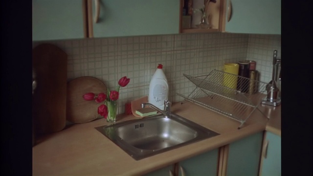 Video Reference: Countertop, Tap, Kitchen sink, Sink, Property, Plumbing fixture, Wood, Flower, Kitchen, Bathroom sink