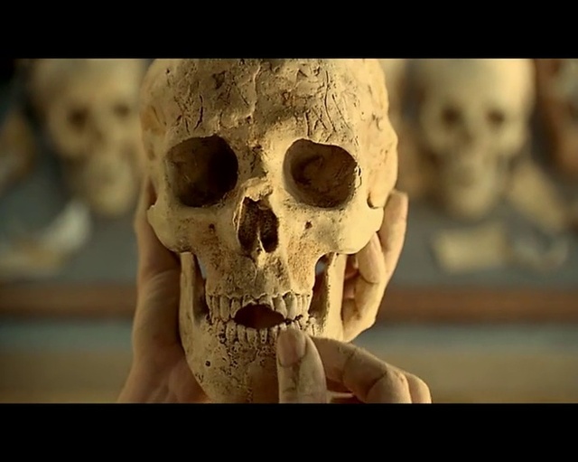 Video Reference: Human body, Bone, Jaw, Sculpture, Skull, Art, Skeleton, Snout, Artifact, Darkness