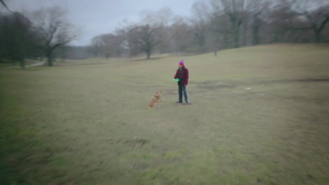 Video Reference: park, person, dog, frisbee, outdoor, grass, field, winter, overcast, pet, playtime, leisure, wide shot, recreation