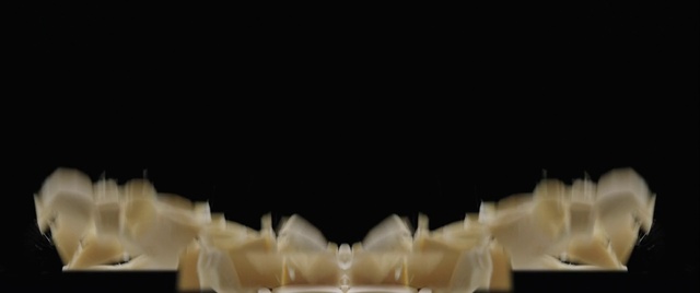 Video Reference: Jaw, Natural material, Jewellery, Tints and shades, Eyelash, Event, Font, Fashion accessory, Art, Macro photography