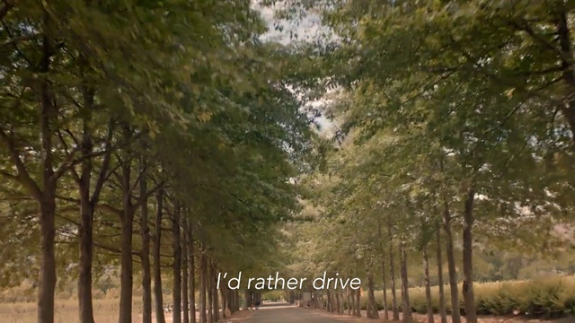 Video Reference: Atmosphere, Plant, Leaf, Branch, Road surface, Wood, Natural landscape, Trunk, Tree, Grass