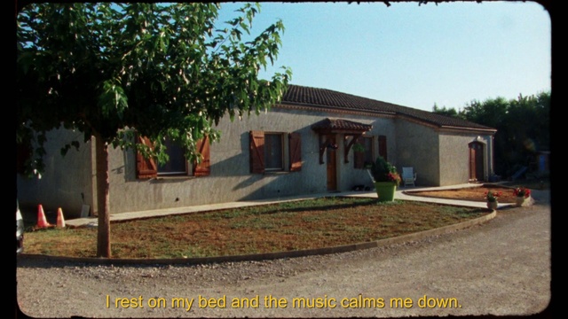 Video Reference: Plant, Sky, Building, Land lot, Shade, House, Tree, Cottage, Road surface, Residential area