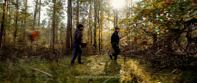 Video Reference: Plant, Jeans, Plant community, Ecoregion, People in nature, Natural landscape, Branch, Wood, Tree, Grass